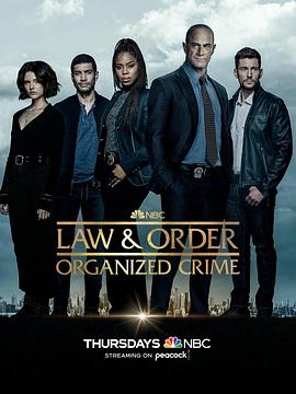 法律与秩序：组织犯罪 第三季 第03集